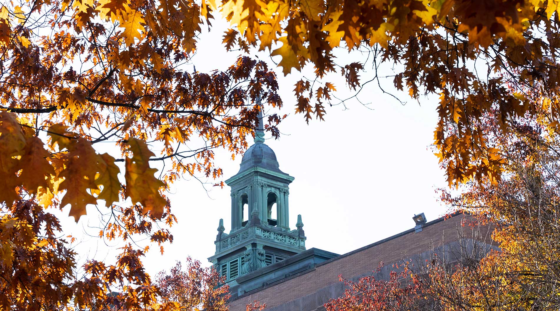 campus in the fall