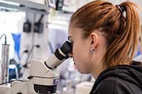 student looking through a microscope